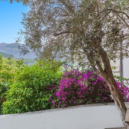 Puerto de Sóller Bellavista 22 아파트 외부 사진